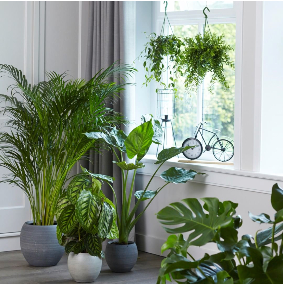 IMG_8203 planten in de vensterbank? | TS Collection | blog | Indoor Garden | Urban Jungle | Bijzondere bloempotten | Interieur tips | Woontips | Interieur styling | Planten binnen | - TS merk